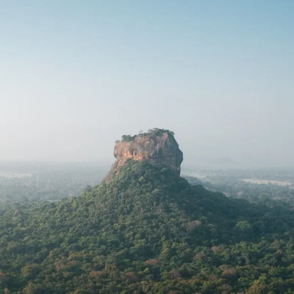 The Classic Sri Lankan Tour
